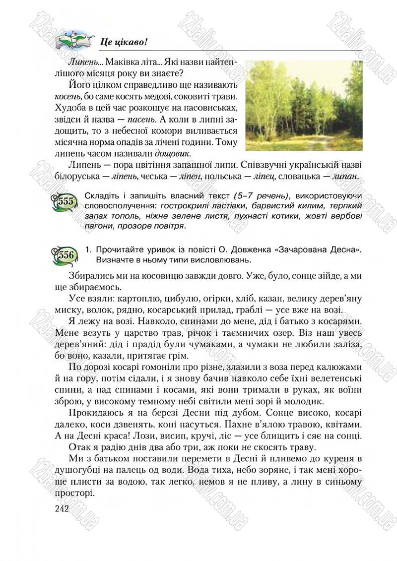 Сторінка 242 - Підручник Українська мова 6 клас Єрмоленко 2014 - скачати онлайн