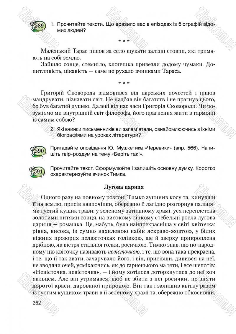 Сторінка 262 - Підручник Українська мова 6 клас Єрмоленко 2014 - скачати онлайн