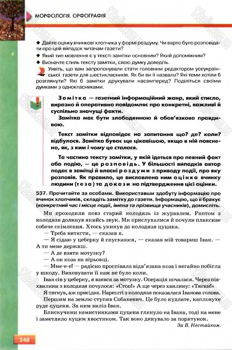 Сторінка 248 - Підручник Рідна мова 6 клас Глазова 2006