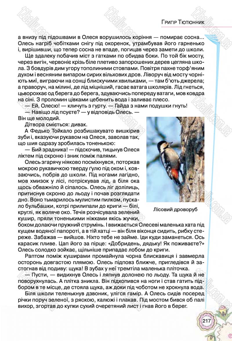 Сторінка 217 - Підручник Українська література 5 клас Л.Т. Коваленко 2018