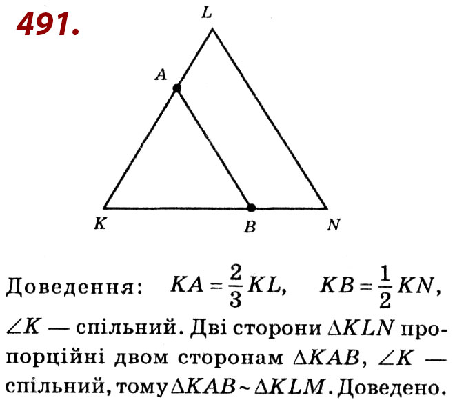 Завдання № 491 - Розділ 2. Подібність трикутників - ГДЗ Геометрія 8 клас О.С. Істер 2021 