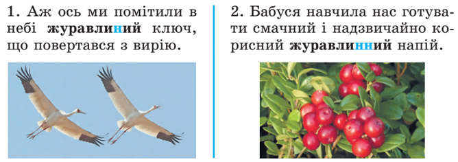 Завдання № 344 - 33. Уживання апострофа – 34. Подвоєння збігу приголосних - Фонетика. Графіка. Орфоепія. Орфографія - ГДЗ Українська мова 5 клас О. В. Заболотний, В. В. Заболотний 2022 