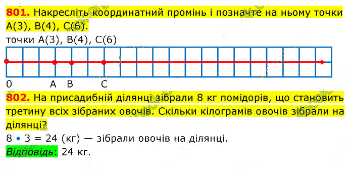 Завдання №  801-802 - 21. Многокутник - 22. Прямокутник - § 4. Геометричні фігури та величини - ГДЗ Математика 5 клас В. Кравчук, Г. Янченко 2022 