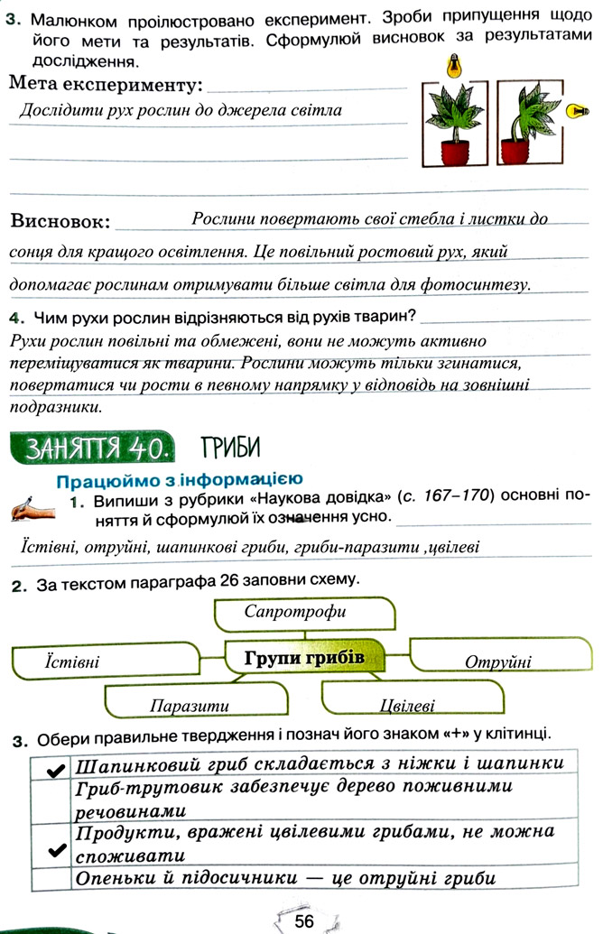 Завдання №  стор. 56 - Тема 4. Вивчаємо живу природу землі - ГДЗ Пізнаємо природу 5 клас Т.В. Коршевнюк, Г.О. Ярошенко 2022 - Робочий зошит
