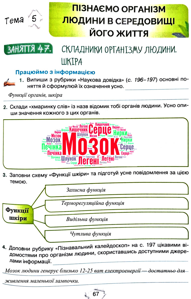 Завдання № стор. 67 - Тема 5. Пізнаємо організм людини - ГДЗ Пізнаємо природу 5 клас Т.В. Коршевнюк, Г.О. Ярошенко 2022 - Робочий зошит