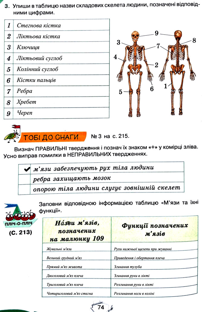 Завдання №  стор. 74 - Тема 5. Пізнаємо організм людини - ГДЗ Пізнаємо природу 5 клас Т.В. Коршевнюк, Г.О. Ярошенко 2022 - Робочий зошит