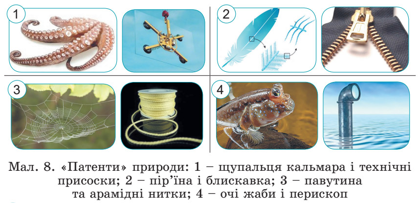 Завдання №  стор.11) - Розділ 1. Пізнаємо світ науки - ГДЗ Пізнаємо природу 5 клас Д.Д. Біда, Т.Г. Гільберг, Я.І. Колісник 2022 