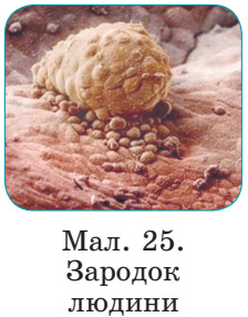 Завдання №  стор.24(УдР) - Розділ 1. Пізнаємо світ науки - ГДЗ Пізнаємо природу 5 клас Д.Д. Біда, Т.Г. Гільберг, Я.І. Колісник 2022