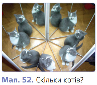 Завдання № 
§ 11 (5) - Розділ 2. Пізнаємо явища природи § 4 - 24 - ГДЗ Пізнаємо природу 6 клас Д. Д. Біда 2023 