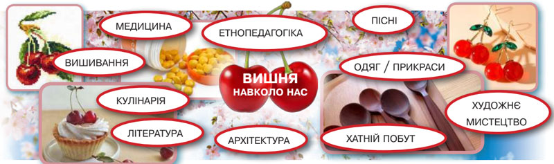 Завдання № 5 - § 5. Розряди прислівників за значенням - Повторення та узагальнення вивченого - ГДЗ Українська мова 8 клас О.М. Авраменко, З.Р. Тищенко 2025 