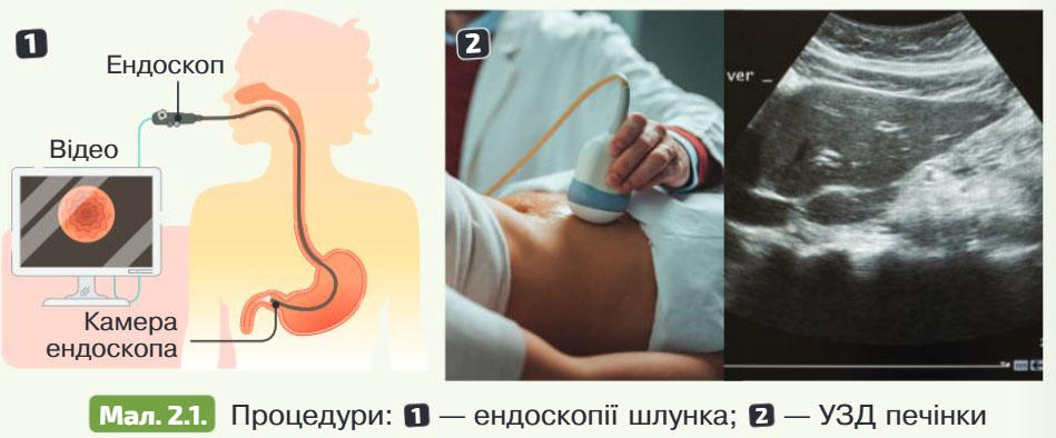 Завдання № § 2 - Тема 1. Організм людини як біологічна система - ГДЗ Біологія 8 клас К.М. Задорожний, Г.В. Ягенська 2025 
