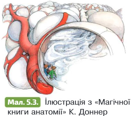 Завдання №  § 5 - Тема 1. Організм людини як біологічна система - ГДЗ Біологія 8 клас К.М. Задорожний, Г.В. Ягенська 2025 