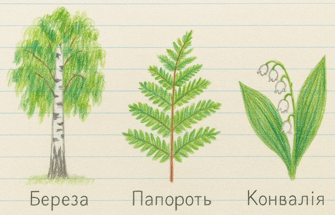 Завдання №  с.70(5) - Тема 2. Між минулим і майбутнім - ГДЗ Я досліджую світ 3 клас Волощенко О.В., Козак О.П. 2025 - Частина 1, 2