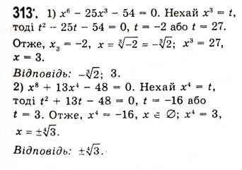 Завдання № 313 - Степенева функція з цілим показником - ГДЗ Алгебра 10 клас А.Г. Мерзляк, Д.А. Номіровський, В.Б. Полонський, М.С. Якір 2010 - Академічний рівень