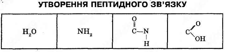Завдання № Стр18-2 - МОЛЕКУЛЯРНИЙ РІВЕНЬ ОРГАНІЗАЦІЇ ЖИТТЯ - ГДЗ Біологія 10 клас Андерсон О.А. , Вихренко М.А. 2010 - Робочий зошит