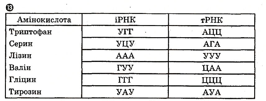 Завдання № 13 - Вправи для самостійного розв'язання - ГДЗ Біологія 10 клас І.О. Демічева 2010 - Комплексний зошит