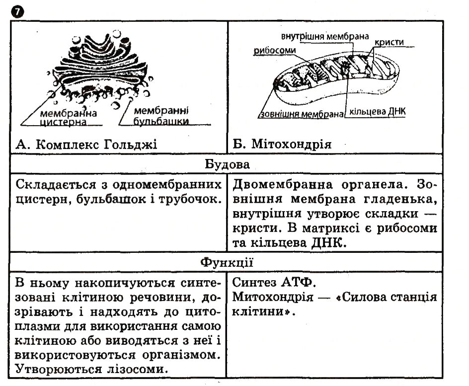 Завдання № 7 - Варіант 3 - ГДЗ Біологія 10 клас І.О. Демічева 2010 - Комплексний зошит