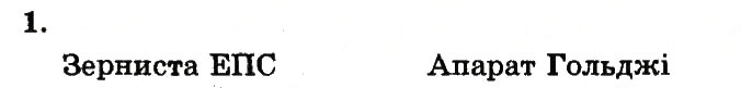 Завдання № 1 - Одномембранні органели - ГДЗ Біологія 10 клас Т.С. Котик, О.В. Тагліна 2013 - Робочий зошит