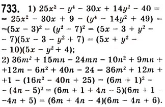 Завдання № 733 - 19. Застосування різних способів розкладання многочлена на множники - ГДЗ Алгебра 7 клас А.Г. Мерзляк, В.Б. Полонський, М.С. Якір 2008