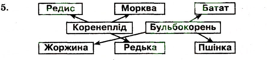 Завдання № 5 - Будова та функції коренів - ГДЗ Біологія 7 клас Т.С. Котик 2011 - Робочий зошит