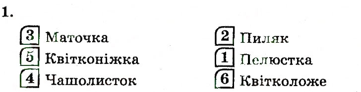 Завдання № 1 - Генеративні органи рослини. Будова та різноманітність квіток - ГДЗ Біологія 7 клас Т.С. Котик 2011 - Робочий зошит