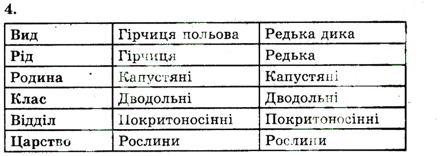 Завдання № 4 - Загальна характеристика покритонасінних, або квіткових рослин - ГДЗ Біологія 7 клас Т.С. Котик 2011 - Робочий зошит