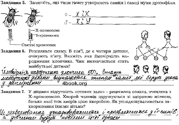 Завдання № стр79 - Тема 5. Закономірності успадкування ознаки - ГДЗ Біологія 9 клас Л. А. Мирна, В. О. Віркун, М. Ю. Бітюк 2017 - Робочий зошит