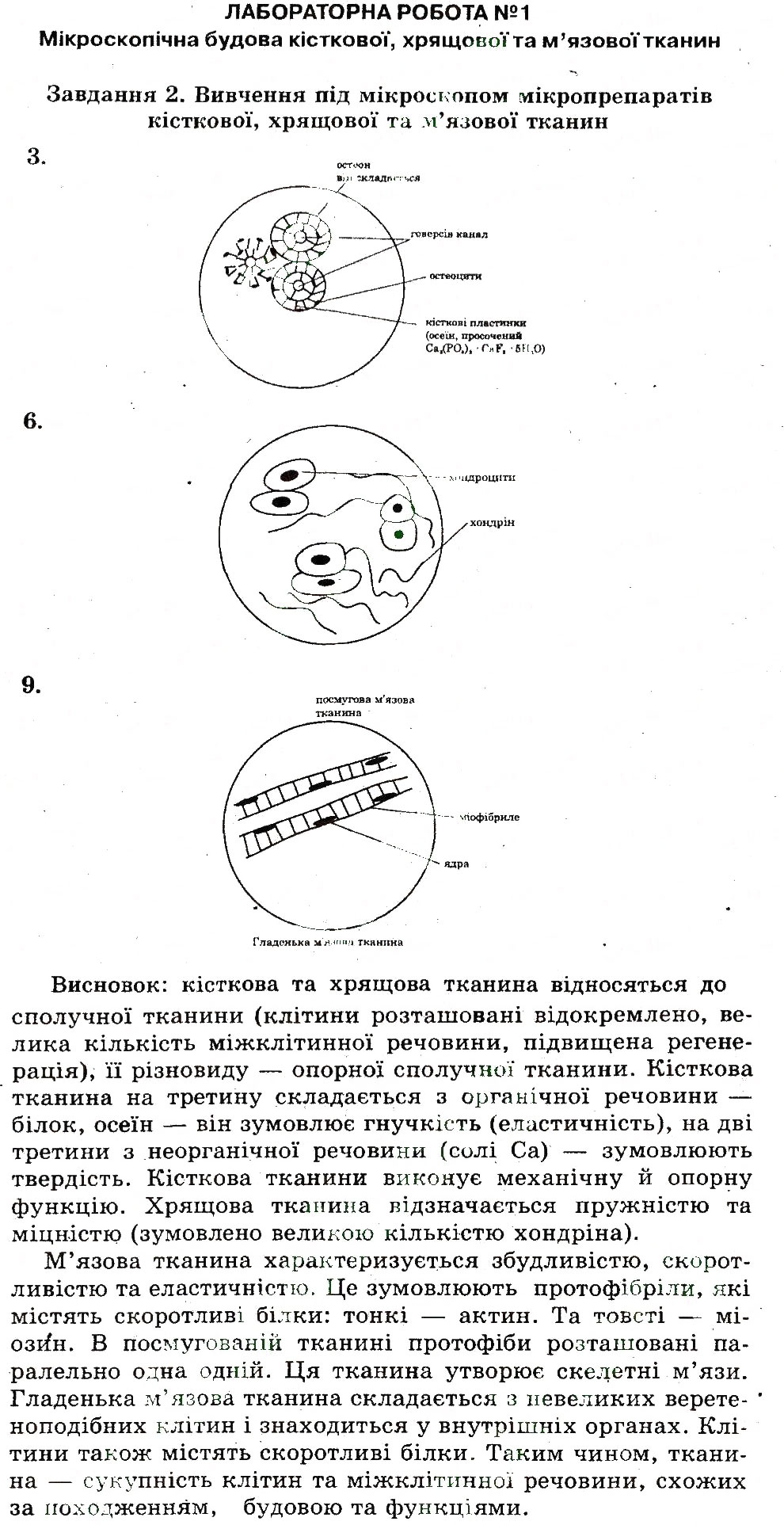 Завдання № ЛР1 - ЛАБАРАТОРНІ РОБОТИ - ГДЗ Біологія 9 клас Т.С. Котик, О.В. Тагліна 2012 - Робочий зошит
